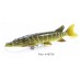 Savage Gear 3D Pike Line Thru